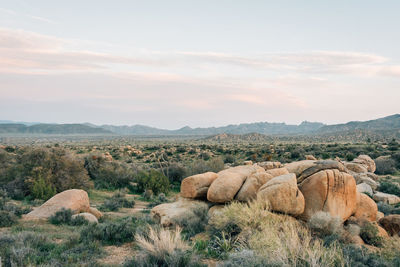 View of landscape against sky