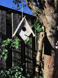 Close-up of tree against built structure