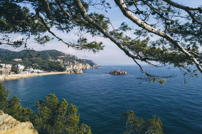 Landscape of beaches and coves of the spanish costa brava on a sunny day