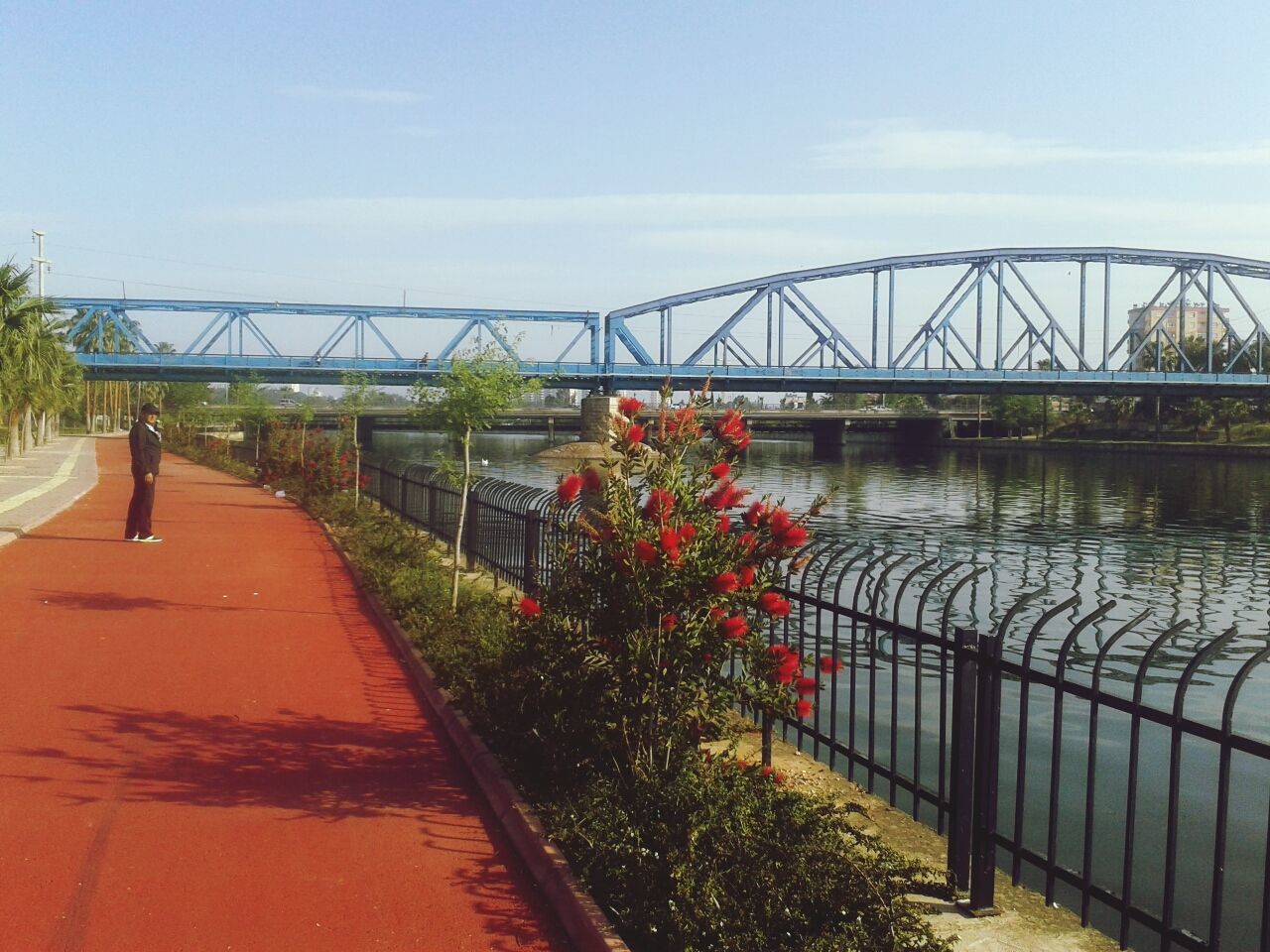 connection, built structure, bridge - man made structure, architecture, railing, sky, water, flower, transportation, tree, river, bridge, red, plant, growth, the way forward, footbridge, nature, no people, outdoors