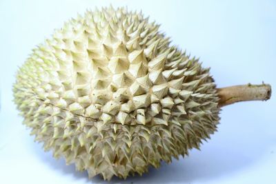 Close-up of durian on white background