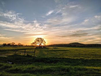 Scenic view of field against sky during sunset