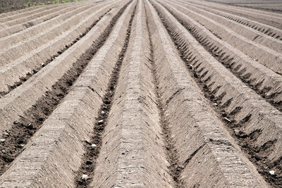 High angle view of tire tracks on land