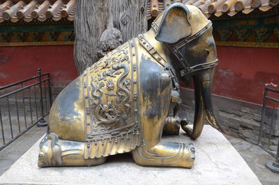 Elephant stature in china