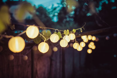 Low angle view of illuminated light bulbs hanging on tree