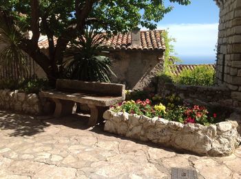 Potted plants in garden