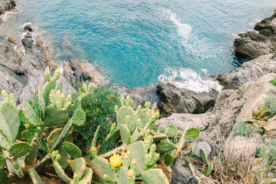 High angle view of rocks on beach