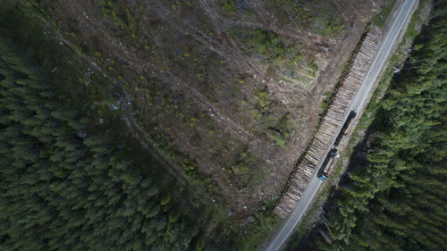 High angle view of highway amidst trees