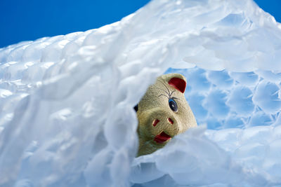 Close-up of stuffed toy on snow