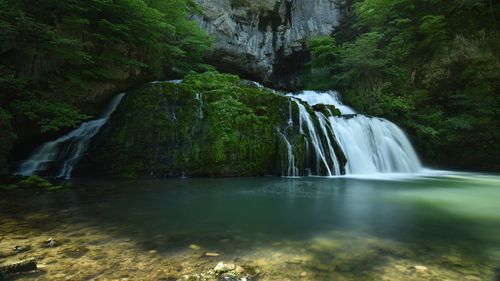 Scenic view of waterfall in forest