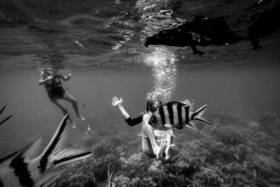 Scuba divers with fishes swimming in sea