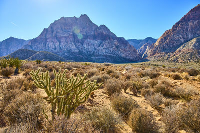 Scenic view of mountains against clear sky