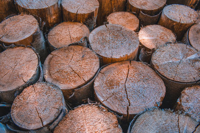 Full frame shot of logs in forest