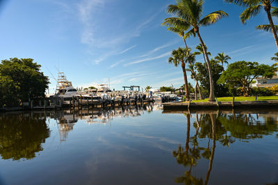 Reflection of palm trees in lake against sky