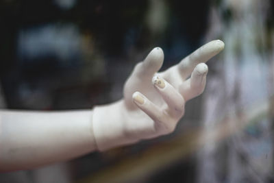 Close-up of woman hand over blurred background