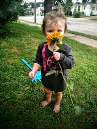 Full length of baby girl holding flower while standing on grass