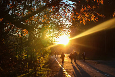 View of two people walking in sunlight