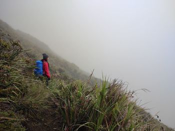 Rear view of man walking on mountain against clear sky