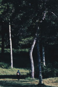 Rear view of a woman sitting on tree trunk