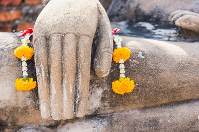 Close-up of yellow flowers on rock