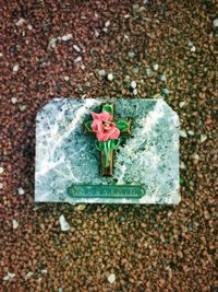 High angle view of rose on stone wall