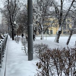 Bare trees on snow covered landscape