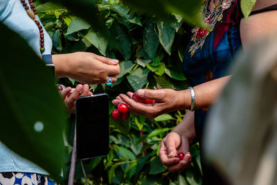 Close-up of hands holding leaf