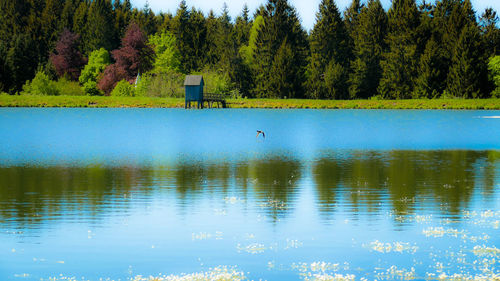 Scenic view of lake