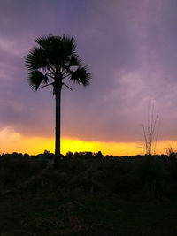 Silhouette palm trees on field against sky at sunset