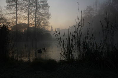 Silhouette trees in forest against sky during foggy weather