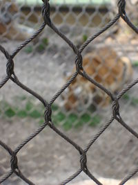 Close-up of chainlink fence