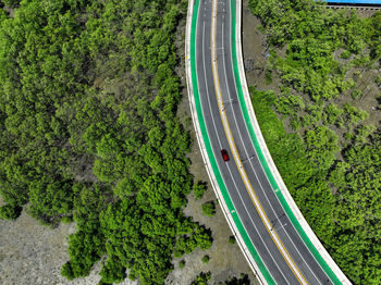 Aerial drone view curve road with green mangrove forest and mudflat beach. mangroves capture co2.