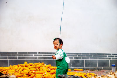 Portrait of cute baby girl standing by corns against wall