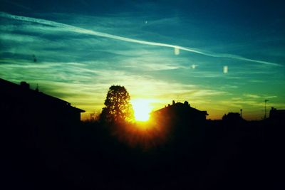 Silhouette of trees at sunset