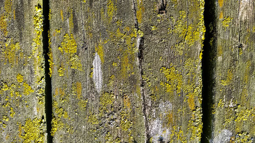 Full frame shot of old yellow wall
