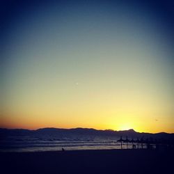 Silhouette of people at beach during sunset