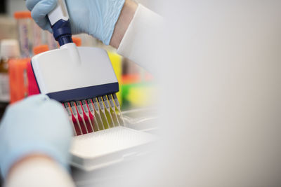 Close up of hands and multi channel pipette in a biotech science lab