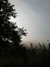 Silhouette trees on landscape against sky