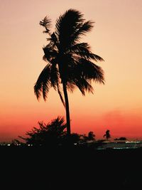 Silhouette palm tree against clear sky during sunset