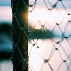 Close-up of fence