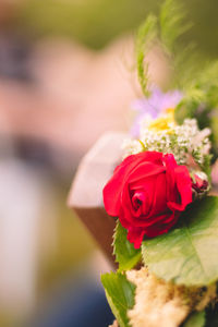 Close-up of rose bouquet