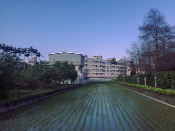 Houses and trees by buildings against blue sky