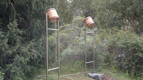 Basketball hoop on field in forest