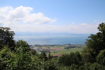 Scenic view of trees and buildings against sky