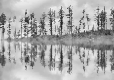 Reflection of trees in lake against sky