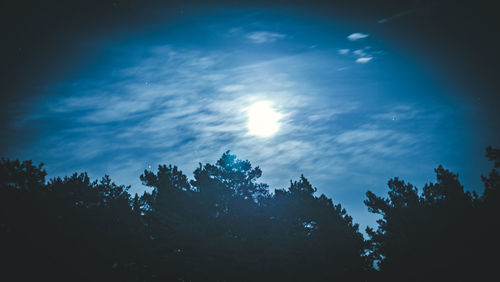 Low angle view of silhouette trees against blue sky