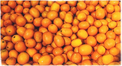 Full frame shot of kumquats