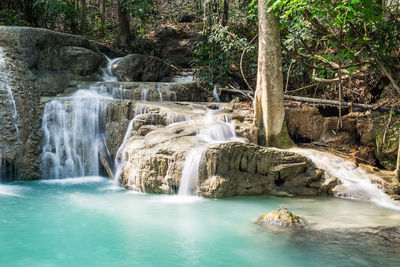 Scenic view of waterfall in forest