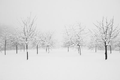 Bare trees on snow covered field against sky