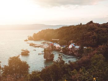 High angle view of trees on beach against sky